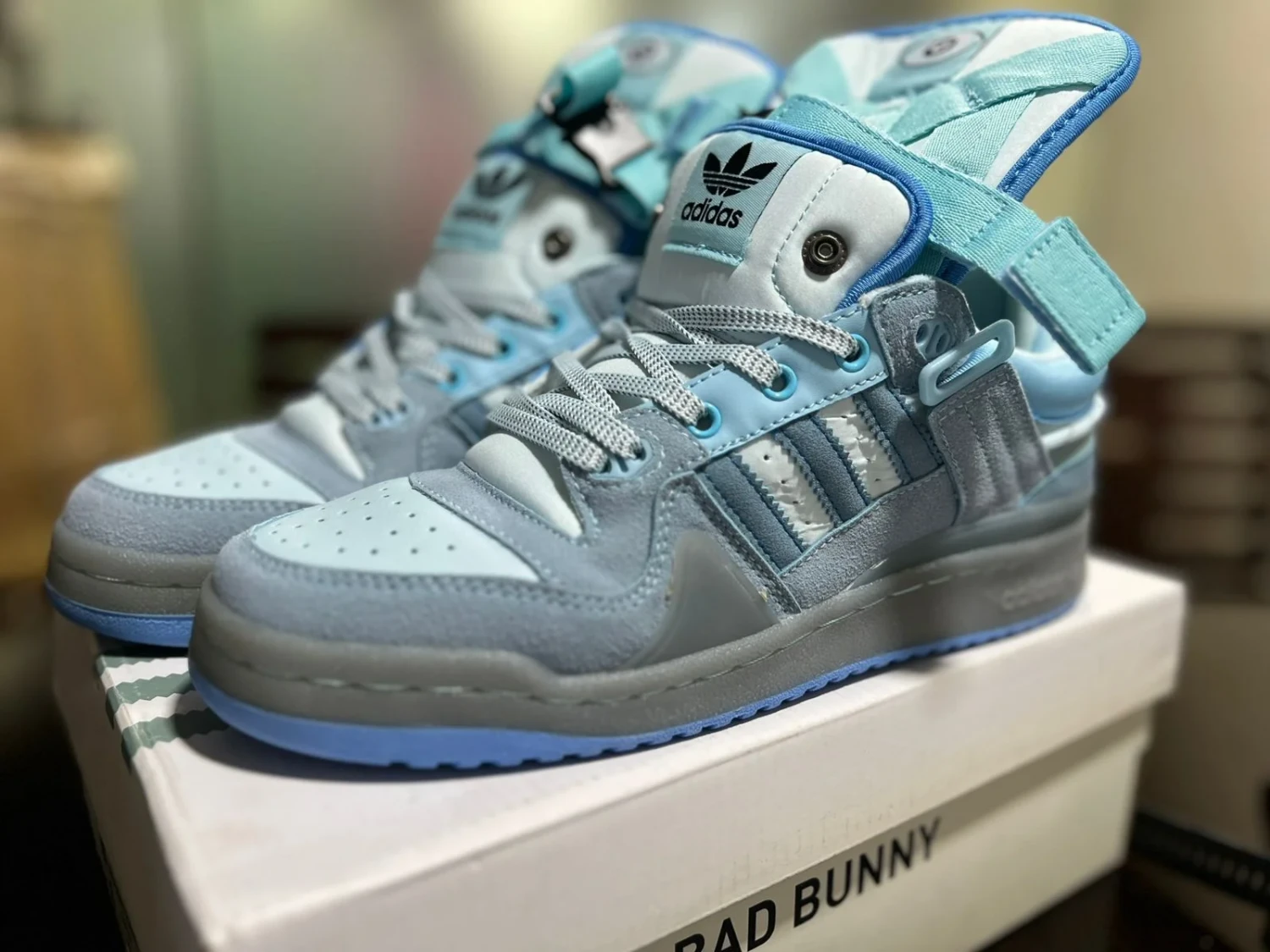 Adidas Bad Bunny Forum Buckle Low